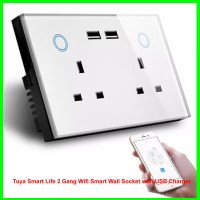 Tuya Smart Life 2 Gang Wifi Smart Wall Socket with USB Charger