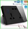 Tuya Smart Life 2 Gang Wifi Universal Wall Socket with USB Charger