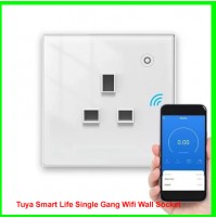 Tuya Smart Life Single Gang Wifi Wall Socket