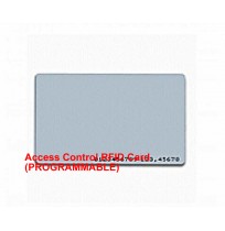 Access Control RFID Card (PROGRAMMABLE)