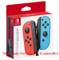Nintendo Switch Joy Controller
