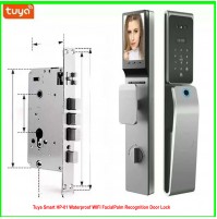 Tuya Smart HP-01 Waterproof WIFI Facial/Palm Recognition Door Lock 